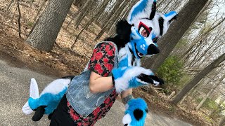 Blue Koi-Dog Mini Partial