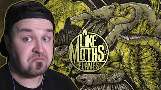 Like Moths to Flames - Nothing But Blood REACTION (Patreon Request)