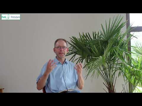 Impuls vom 11. September 2023  - Psalm 118,8