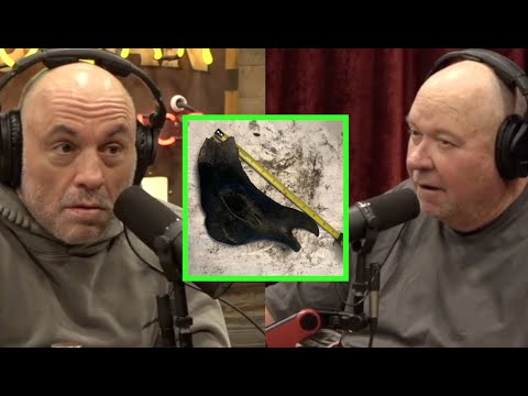 Bison Bones and Human Remains Found in the East River