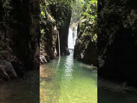 15 de octubre de 2025