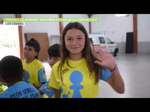 TORNEO DE AJEDREZ - LOS CEDROS