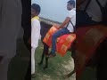 Riding A Horse