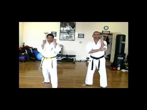 How to Defend against a One Two Knee Kick Combo Attack