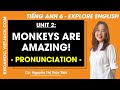 Tiếng Anh 6 Unit 2 | Pronunciation | Monkeys are amazing - trang 23 Explore English