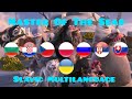 Ice Age Continental Drift Master Of The Seas Slavic Multilanguage