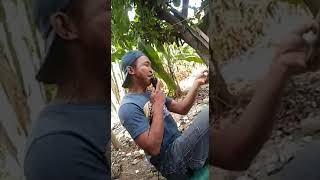 Download lagu KETIKA ORANG BISU NYANYI mp3