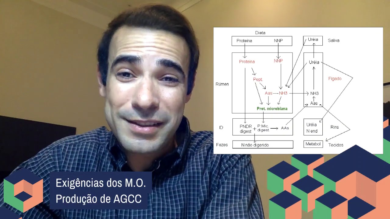 023 - Proteína metabolizável