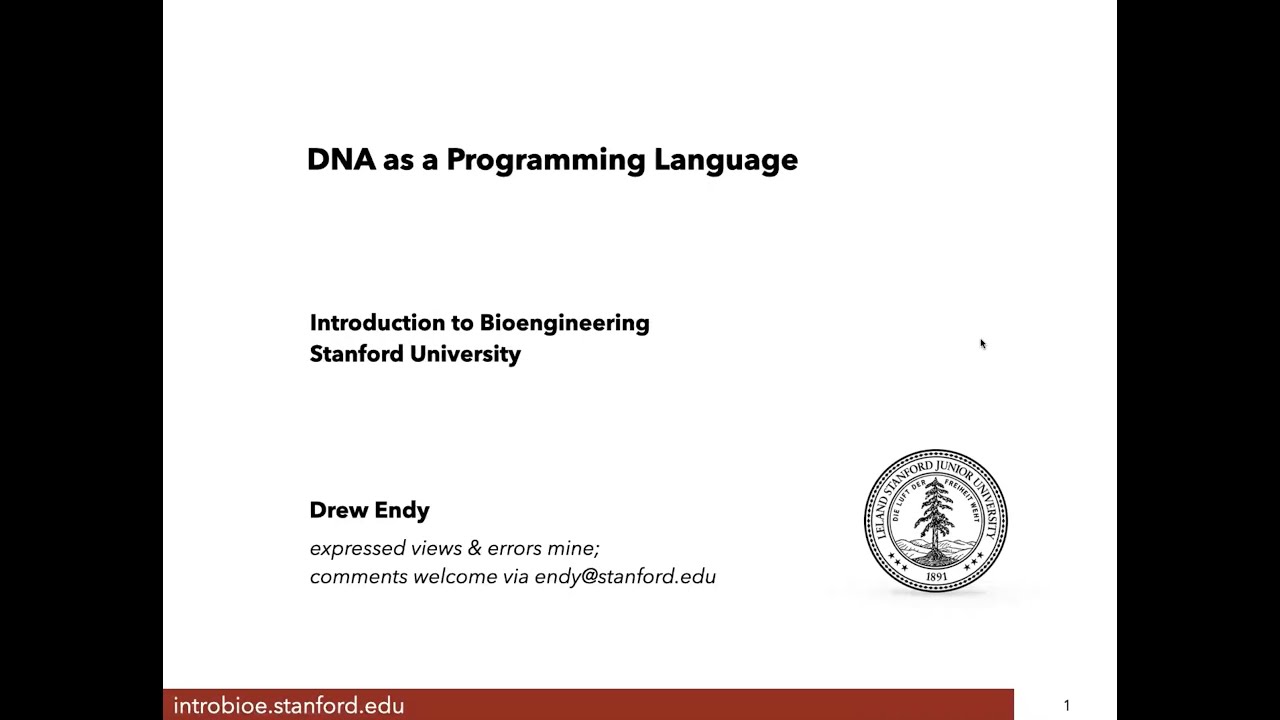 M3A5 DNA as a Programming Language