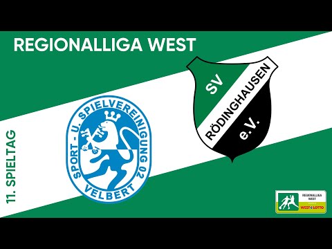 Thriller in Velbert! Who will take the points? | SSVg Velbert vs. SV Rödinghausen | RL West