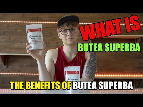 Butea Frondosa Extract Powder