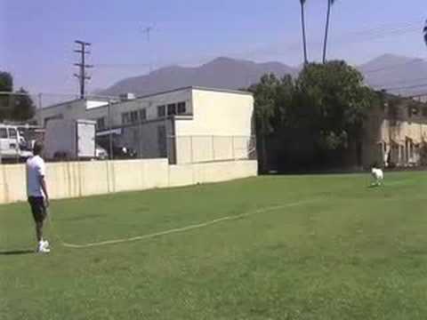 Sammie & Kammy "Come" Command