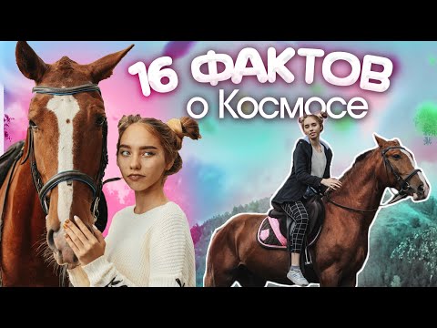 16 ФАКТОВ О КОСМОСЕ / Факты о лошадях