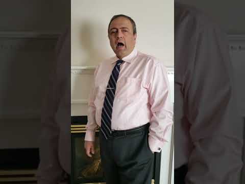 Magic Accounting & Tax Services INC. video.