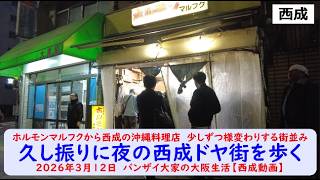 ホルモンマルフクから西成の沖縄料理店　少しずつ様変わりする街並み【久し振りに夜の西成ドヤ街を歩く】2026年3月12日　バンザイ大家の大阪生活【西成動画】