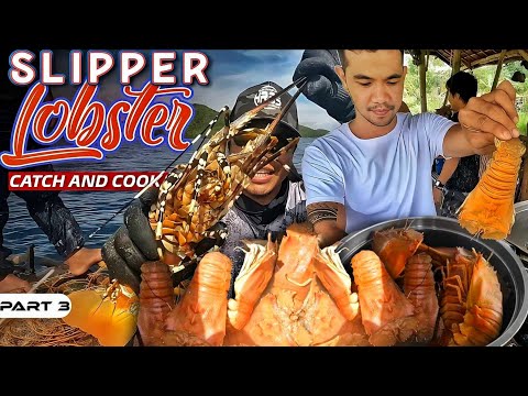 P3-Slipper Lobster Catch and Cook | EP1044