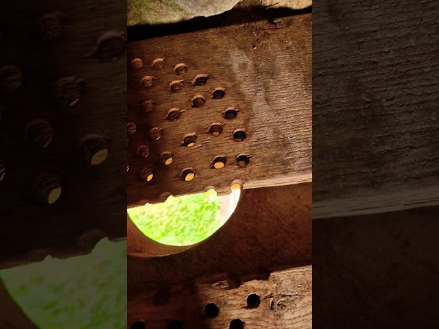 Vídeo relacionado con YongFoto 1,5x2,2m Castillo Medieval Telón de Fondo Sombrío Gótico Piedra Escalera Vela Mágica Medieval Ladrillo Interior Embrujada Foto de Fondo para la Fiesta de Halloween Accesorios de fotografía