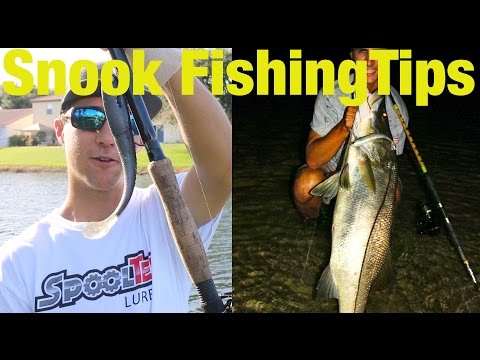 download lagu mp3 mp4 Flair Hawk, download lagu Flair Hawk gratis, unduh video klip Download Flair Hawk Mp3 dan Mp4 Unlimited Gratis