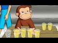 George O Curioso George Toma Uma Atitude Episódio Completo Desenhos Animados