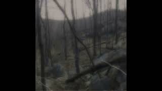 The ready set - luxury slowed -reverb