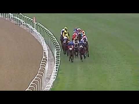 2019 Durban July - DO IT AGAIN