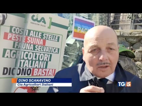 TG5 - Ucraina ed effetti su materie prime. Il presidente Scanavino da manifestazione Cia