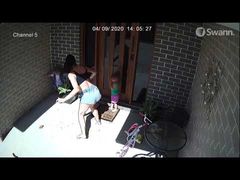 Deadly encounter with an Eastern Brown snake.