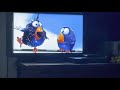 Opening To Ratatouille DVD