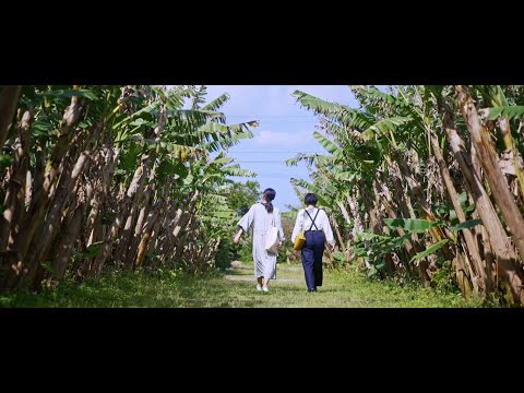 大宜味村のとある1日  /  One day in Ogimi village
