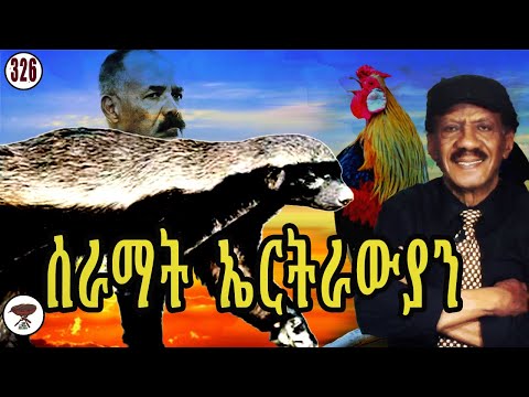 Negarit 326: ሰራማት ኤርትራውያን - rooster and Eritrean honey badgers - ديك شريعتي؛ وغرير العسل الإرتري