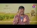 Nanpagal Nerathu Mayakkam Is It Overrated Film Cinema Kichdy