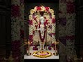 Jalaram Bapa Status New WhatsApp Status Jalaram Bapa Jay Jalaram