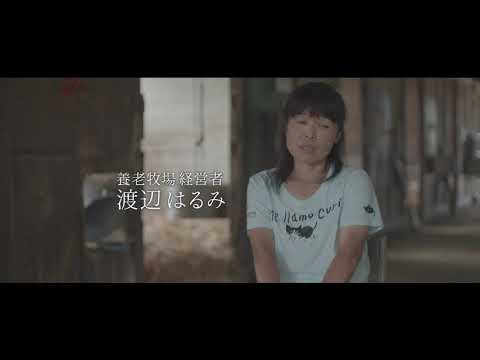 映画『今日もどこかで馬は生まれる』予告編（ショート）