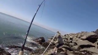 Monster 28 lb KING SALMON ON NORTH JETTY IN CAPE DISAPPOINTMENT GoPro