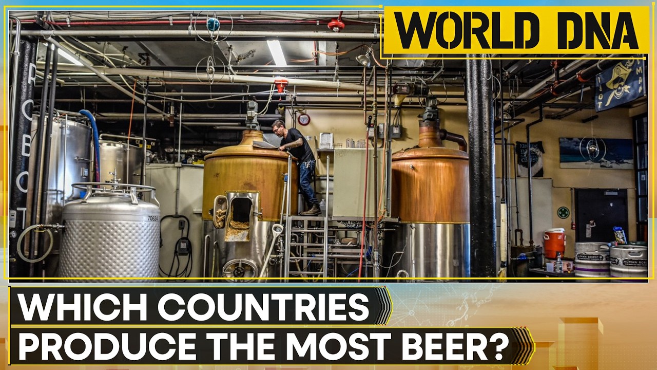 China Leads World's Beer Race, Africa Emerges as Growth Hub | World DNA