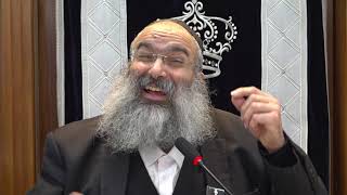 בעל שמחה שרצה לקחת את יתרת הכלים החד פעמיים שנשארו משמחתו ▪️הרב נחמנסון▪️(שטיינבאך שול כפר חב"ד) (הרב יהודה לייב נחמנסון) - התמונה מוצגת ישירות מתוך אתר האינטרנט יוטיוב. זכויות היוצרים בתמונה שייכות ליוצרה. קישור קרדיט למקור התוכן נמצא בתוך דף הסרטון