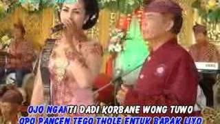 Download lagu Korbane wong tuwo by adilaras mp3