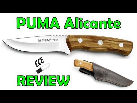 10% COUPON CODE - Review of the PUMA IP Alicante with Olive wood handle