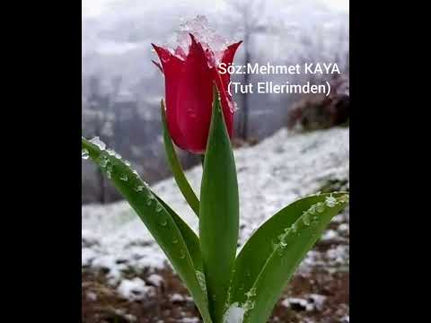 Mehmet KAYA - Tut Ellerimden