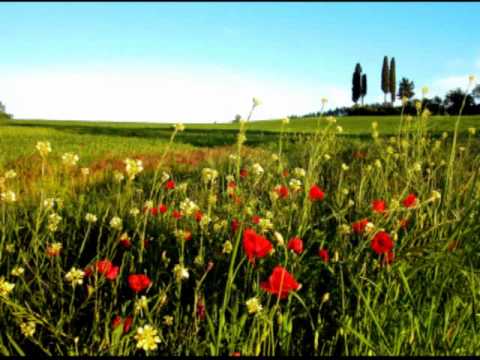 Johann Strauss : Myrthenblüthen Walzer Op.395 for Orchestra (Myrtle Blossoms Waltz)