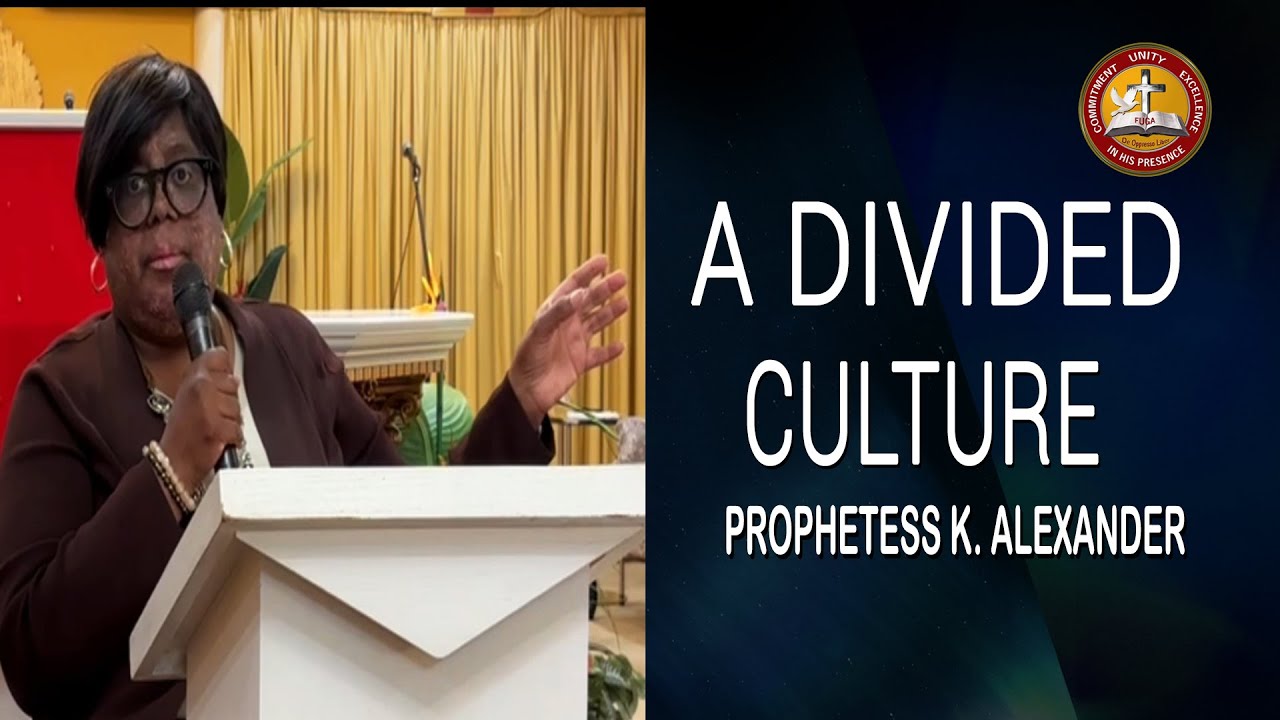 A Divided Culture