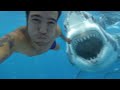 🦈Shark attack caught live on camera 😱😱. Great white Shark attacks swimmer. Shark attack video