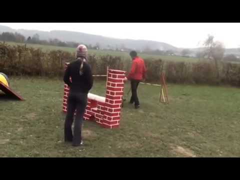 M  Uřičař + Jatagan de Alphaville Bohemia   trénink agility + BONUS