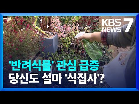 ‘식집사’를 아시나요?…‘반려식물’ 관심 급증 / KBS 2023.01.30. ‘식집사’를 아시나요?…‘반려식물’ 관심 급증 / KBS 2023.01.30.