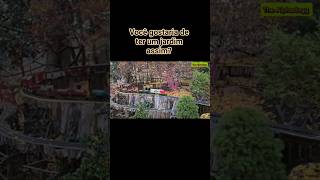 #miniaturas #trem #curiosidade #jardim