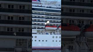 The Floating paradise!… #cruiseship #cruise #travel #yt #ytshorts #carnivalcruise
