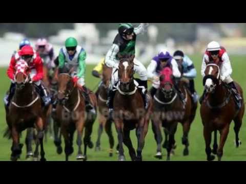 BoomBets Review - Boom Bets Scam?