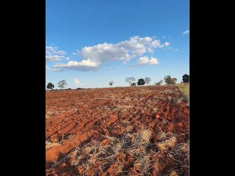 FAZENDA A VENDA EM IPORÁ-GO - 242 HECTARES - 35 ALQUEIRES PLANTADOS DE SOJA