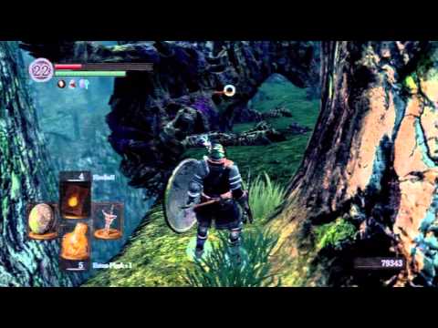 Dark Souls - Valley Of Drakes - Dragon Sub Boss