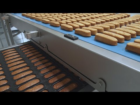 , title : 'How filled cakes are made. Automated cake production line'